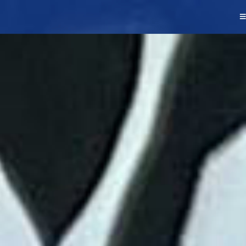 children-of-light-international.org